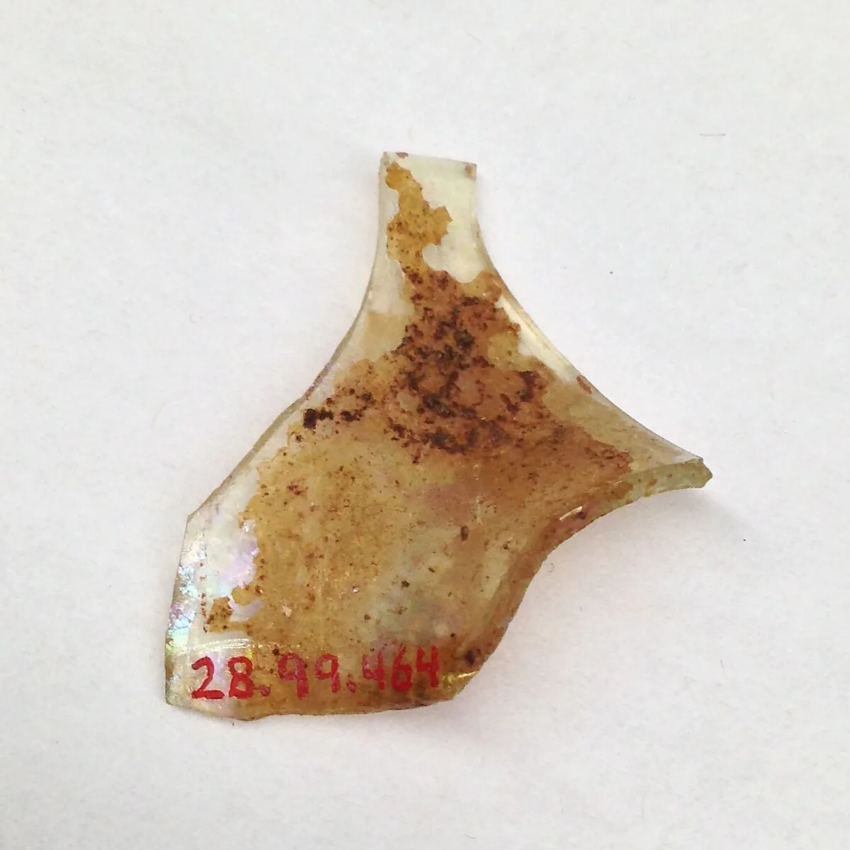 Fragment — Unknown