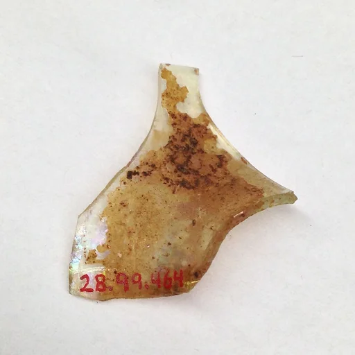 Fragment