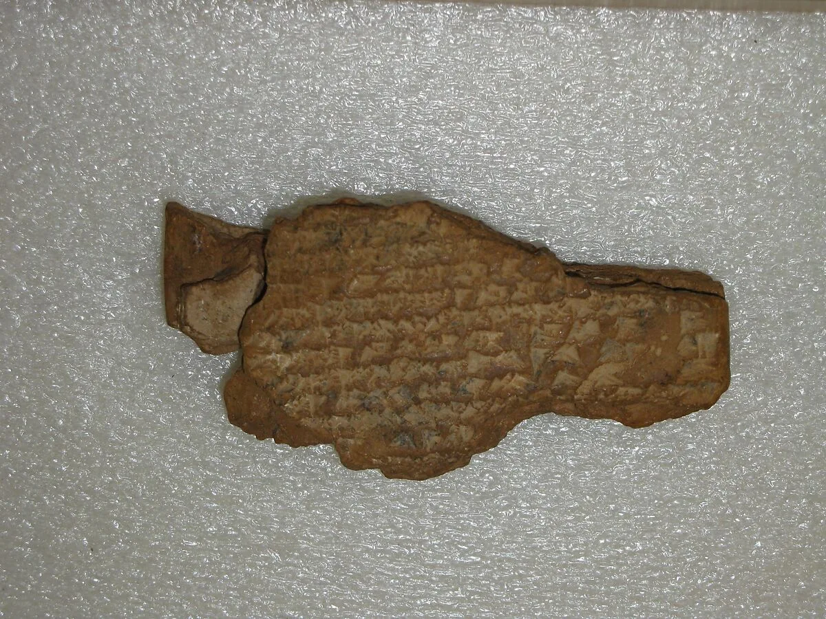 Cuneiform tablet: Shumma izbu, tablet 5 — Unknown