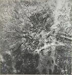 Untitled (Right Panel of Triptych) — Adam Fuss