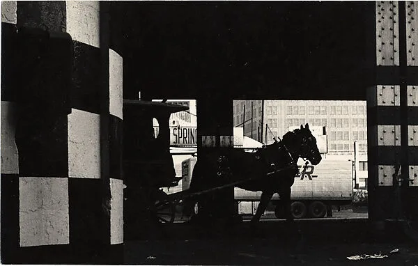Horse Pulling Wagon, New York City — Benn Mitchell