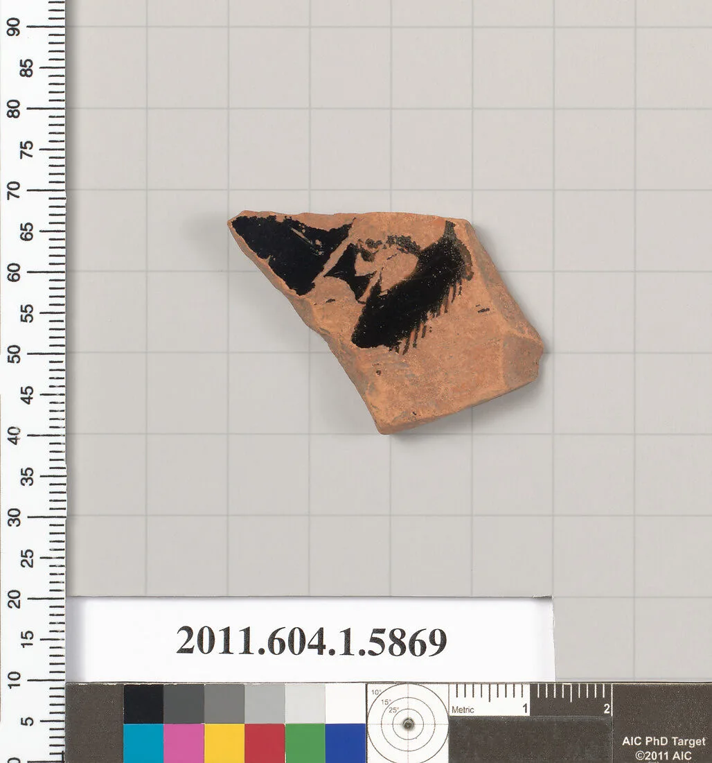 Terracotta fragment of a kylix (drinking cup) — Unknown