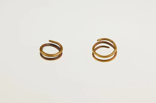 Pair of Earrings (with 16.10.347)