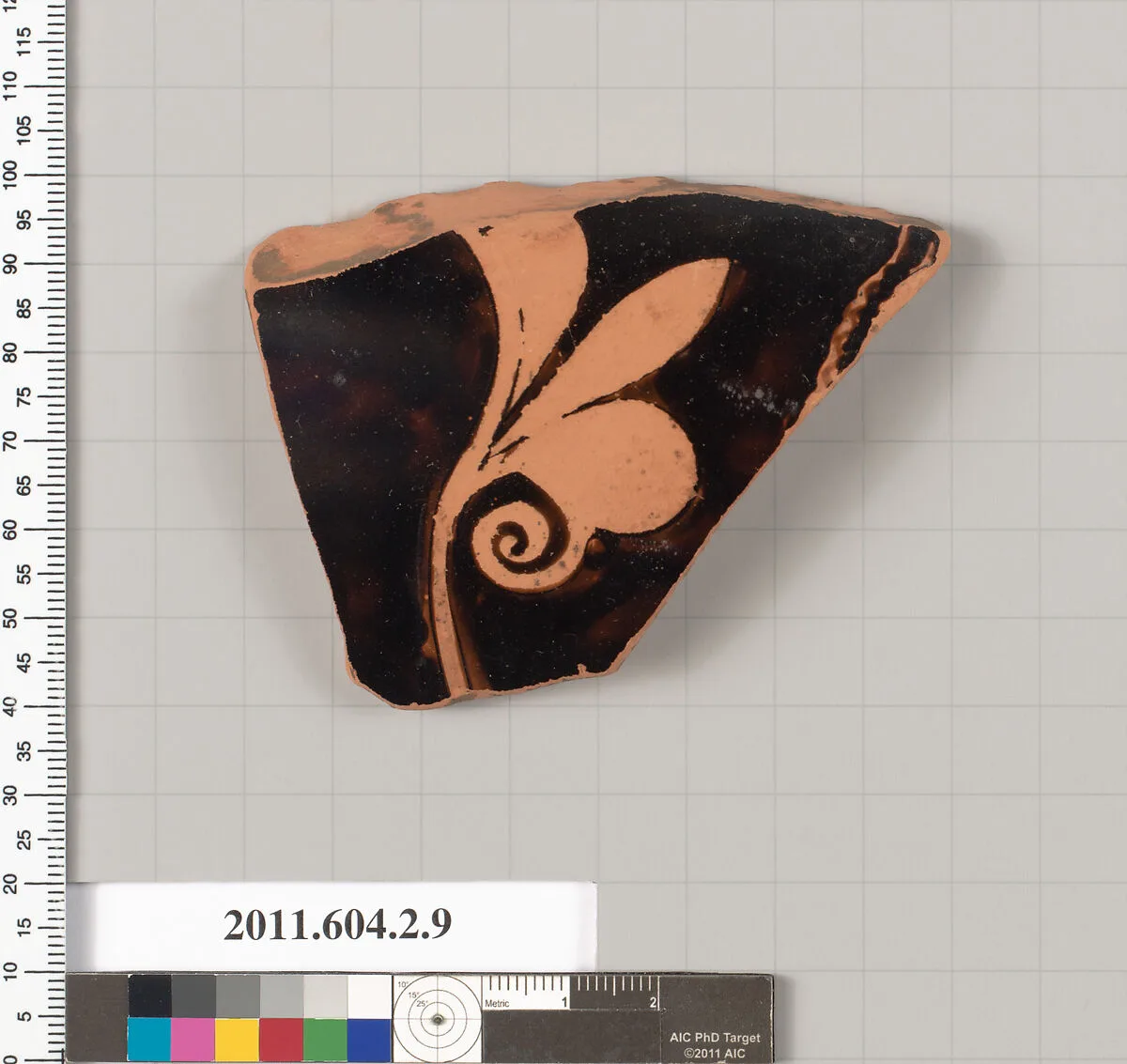 Terracotta fragment of a neck-amphora (jar) — Unknown