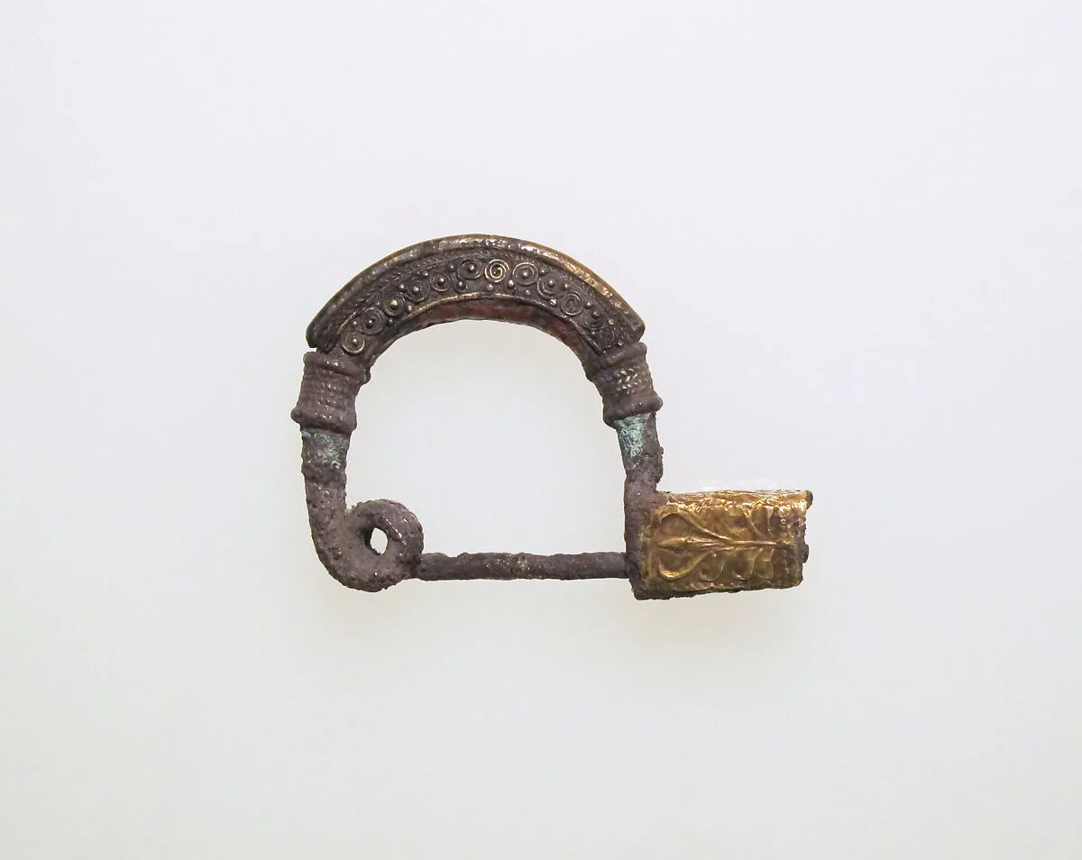 Fibula, bow-shaped — Unknown