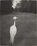 Evening in Kew Gardens