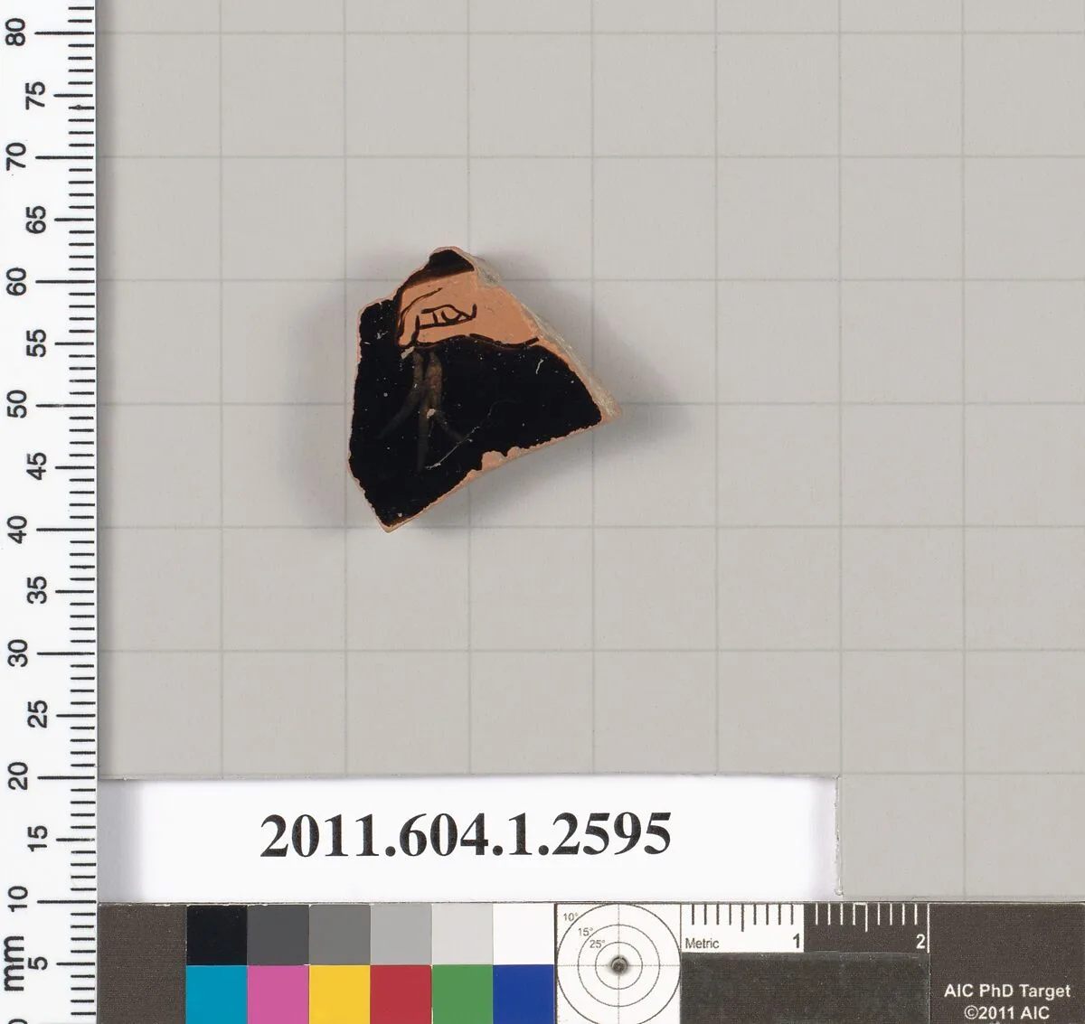 Terracotta fragment of a kylix (drinking cup) — Unknown