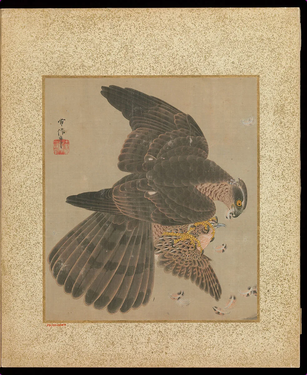 十鷹書画冊|Album of Hawks and Calligraphy — Kano Tsunenobu