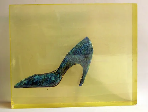 Evening shoes