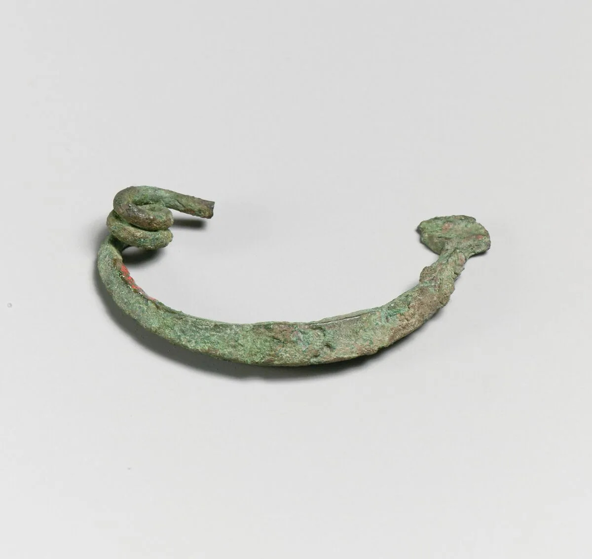 Fibula, semi-circular type — Unknown