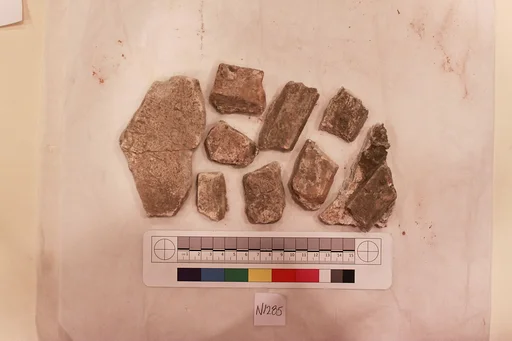 Stucco Fragment