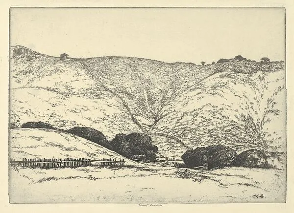 Redwood Fence — Ernest Haskell