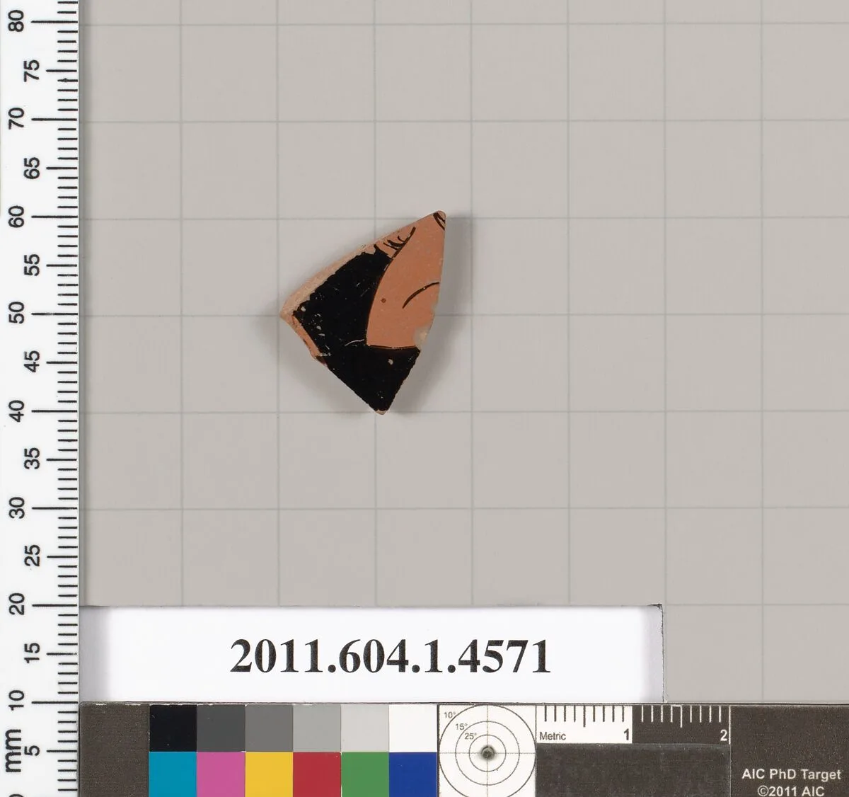 Terracotta fragment of a kylix (drinking cup) — Unknown