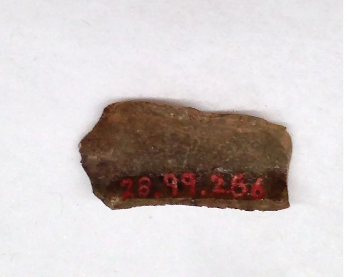 Fragment — Unknown