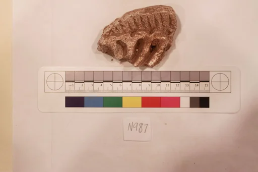 Stucco Fragment