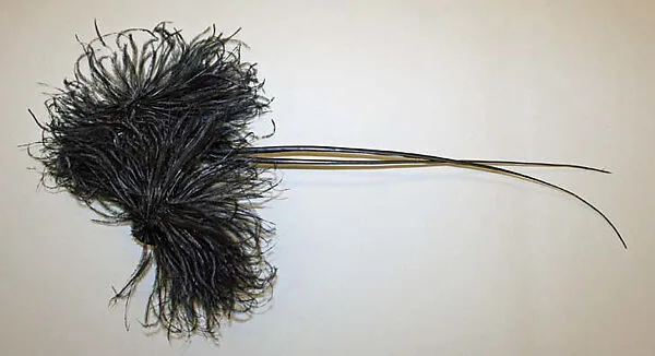 Aigrette — Unknown