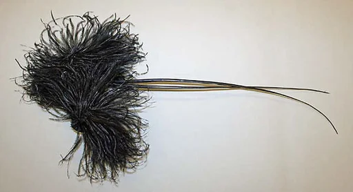 Aigrette