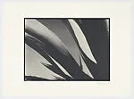 Still from the film 'Bramadero' (1946) from the portfolio 'Homenaje a Gabriel Figueroa' — Gabriel Figueroa