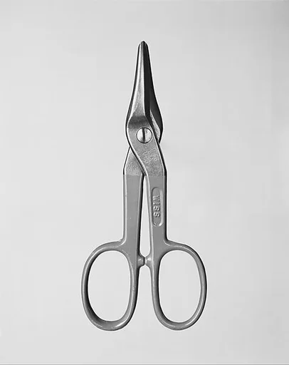 [Tin Snips]