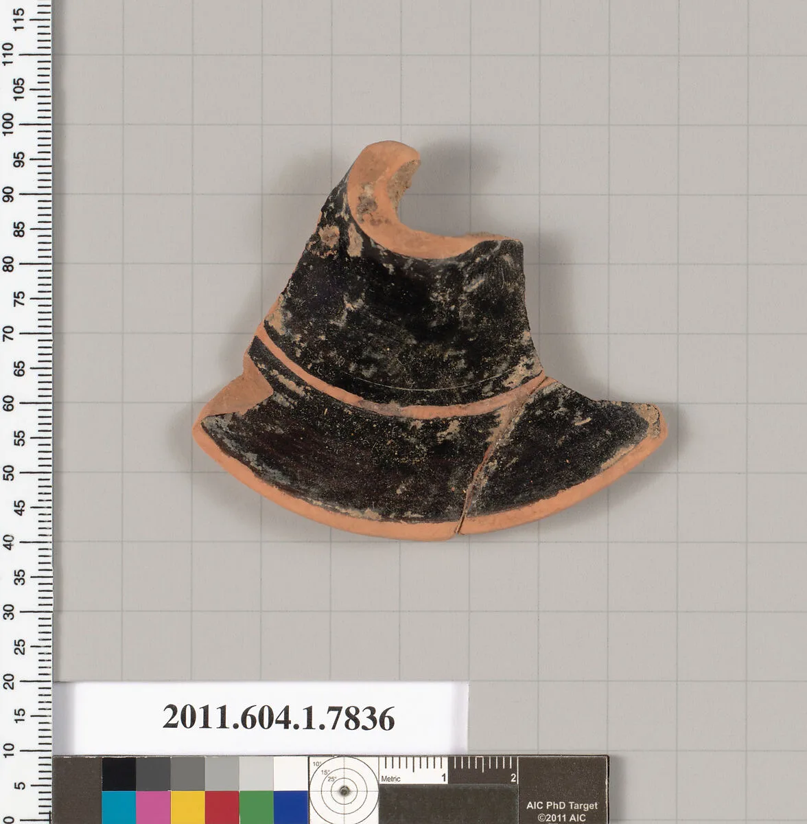 Terracotta fragment of a kylix (drinking cup) — Unknown