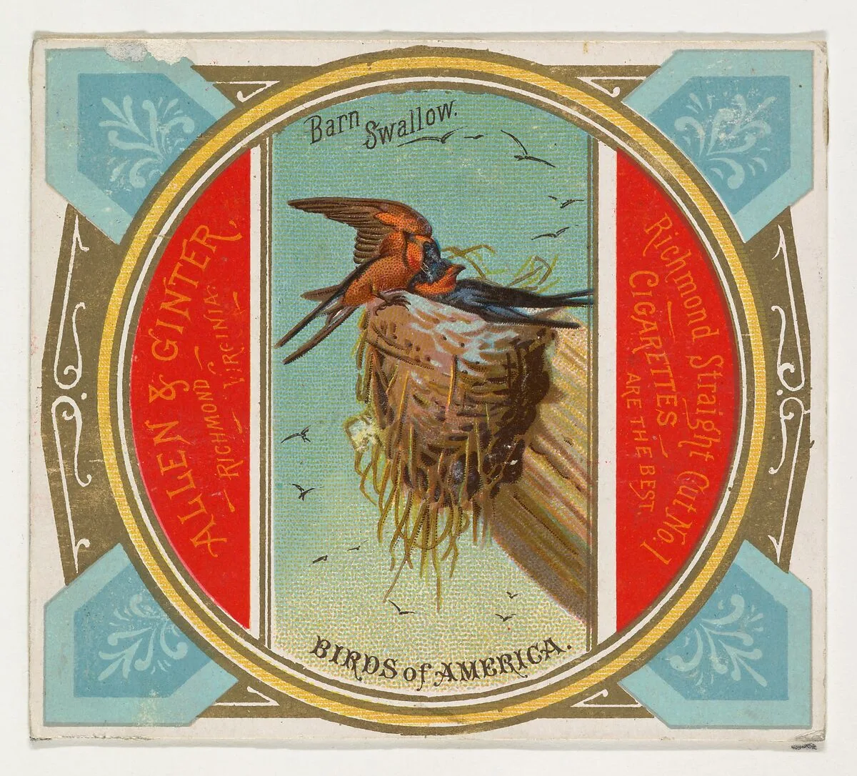 Barn Swallow, from the Birds of America series (N37) for Allen & Ginter Cigarettes — Allen & Ginter