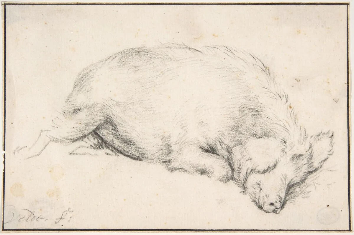A Sleeping Swine — Adriaen van de Velde