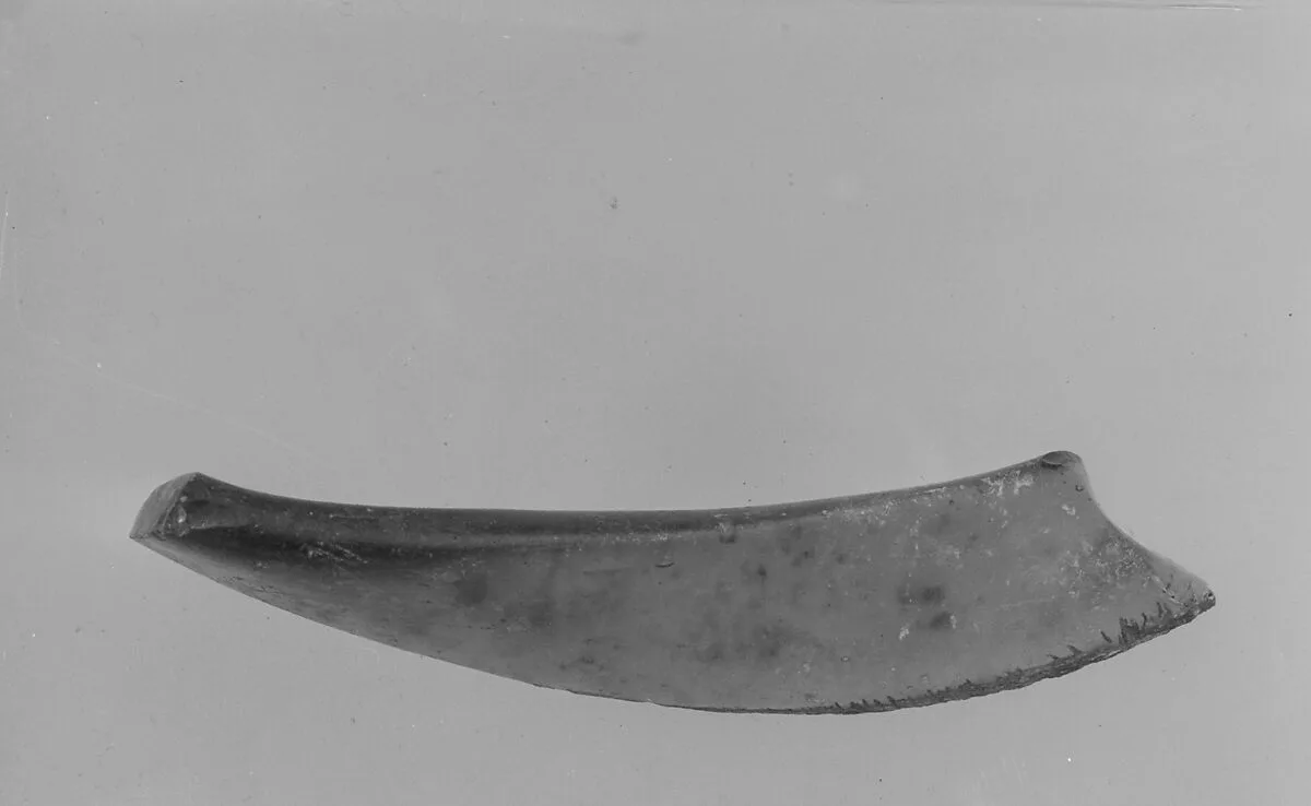 Fragment — Unknown