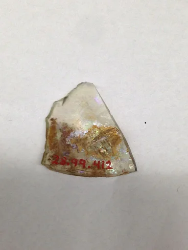 Fragment