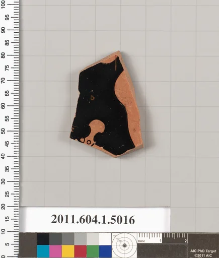 Terracotta fragment of a kylix (drinking cup)