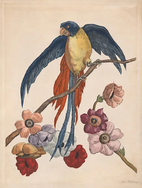 Parrot on a flowering branch — Leo Browne