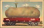 Potato–The Kind We Raise in Maine — Unknown