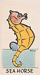 Seahorse, bakery insert card from the Pinocchio Circus Performers series (D64) — Walt Disney Productions