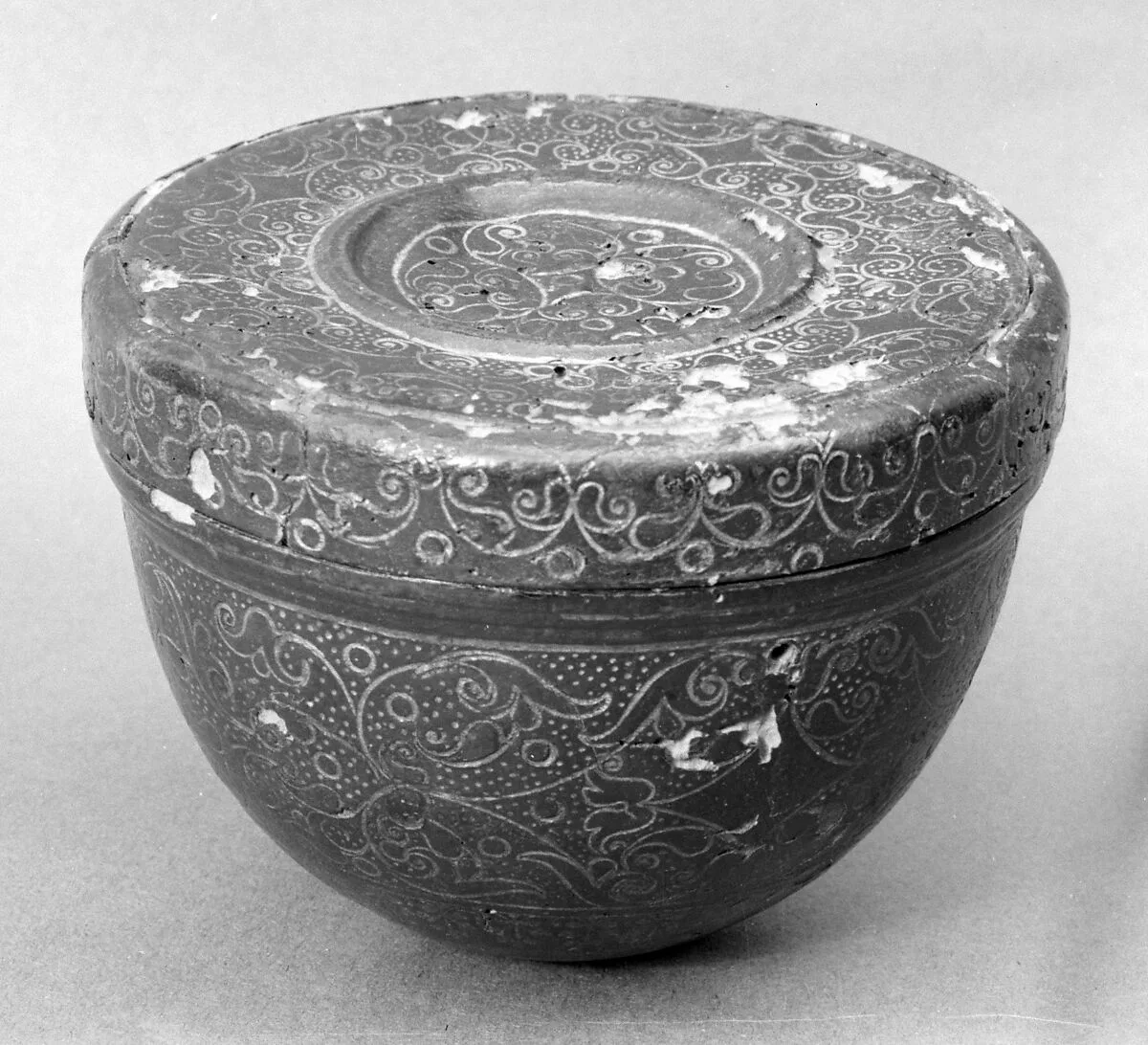 Coconut cup case — Unknown
