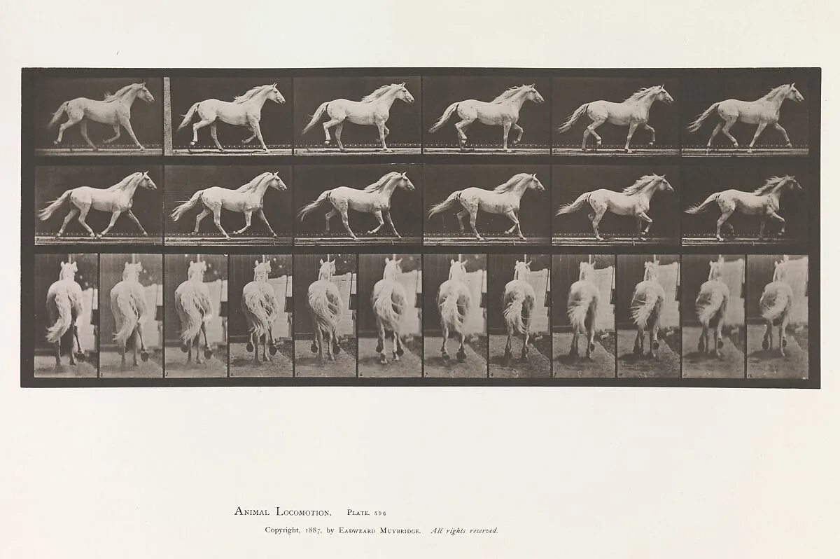 Animal Locomotion. An Electro-Photographic Investigation of Consecutive Phases of Animal Movements. Commenced 1872 - Completed 1885. Volume IX, Horses — Eadweard Muybridge