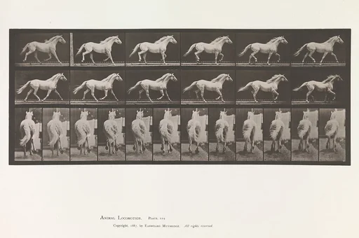 Animal Locomotion. An Electro-Photographic Investigation of Consecutive Phases of Animal Movements. Commenced 1872 - Completed 1885. Volume IX, Horses