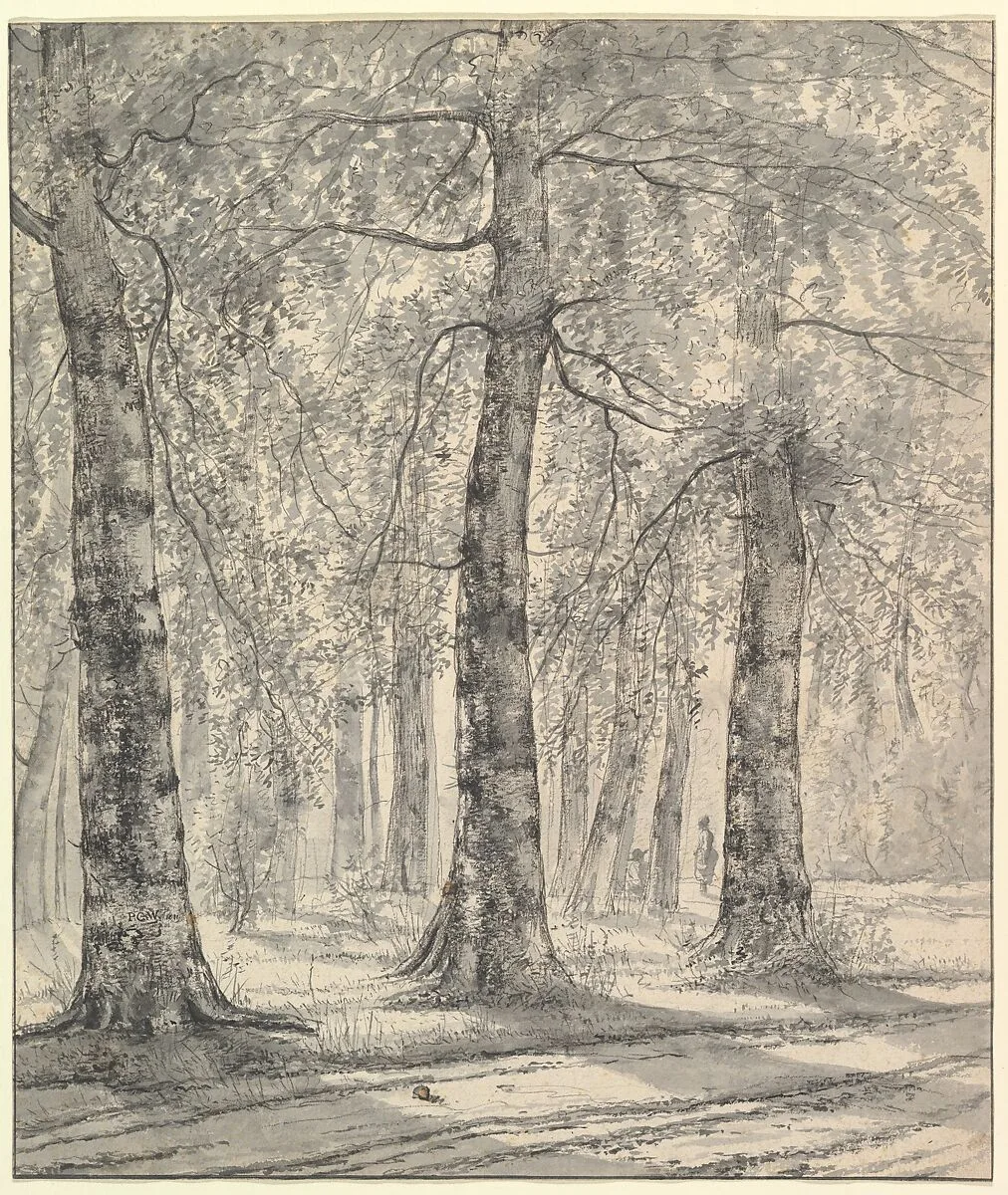 Woodland Scene — Pieter George Westenberg