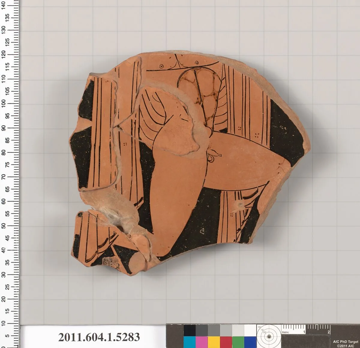 Terracotta fragment of a kylix (drinking cup) — H.P. Painter