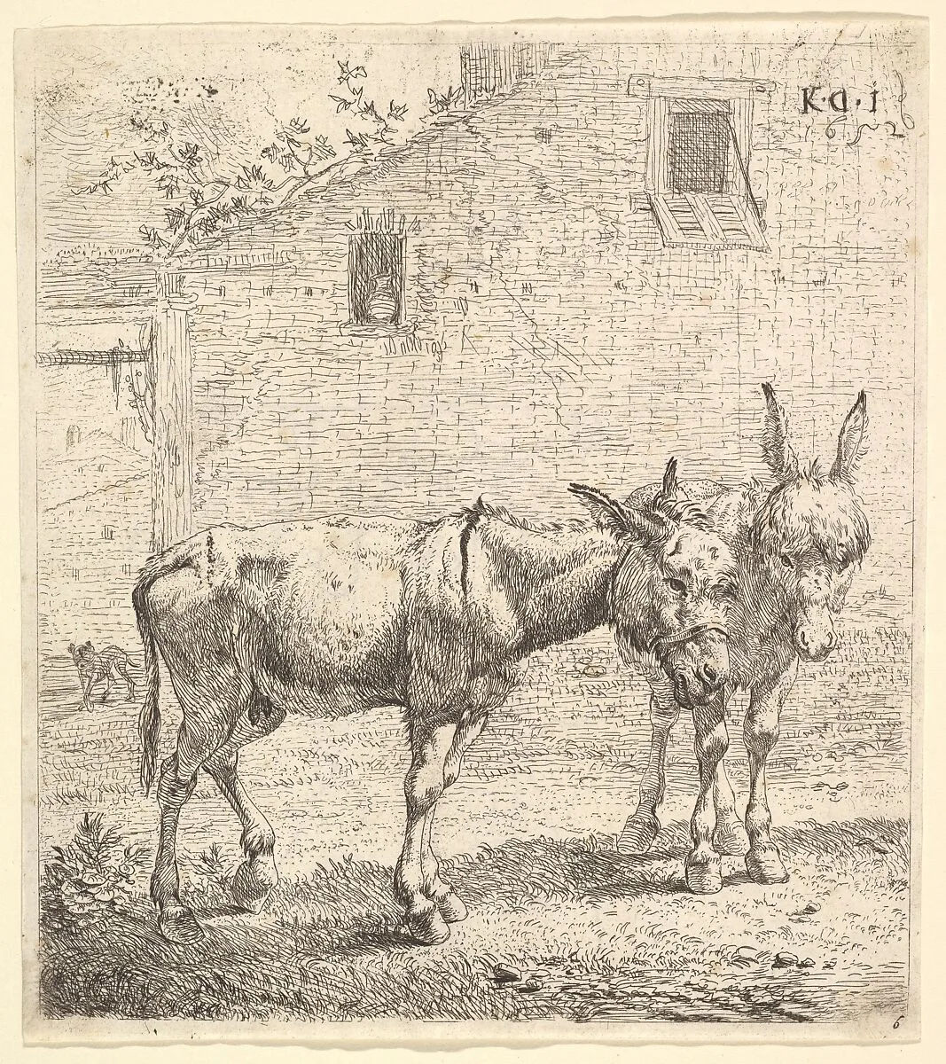 Two donkeys standing in a grassy yard, one in profile view facing right and another behind in three-quarter view, a dog and a building wall with two windows beyond — Karel Dujardin