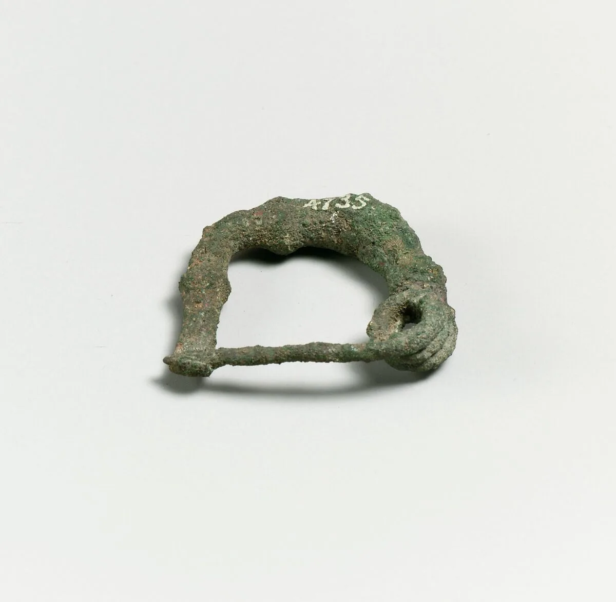 Fibula — Unknown