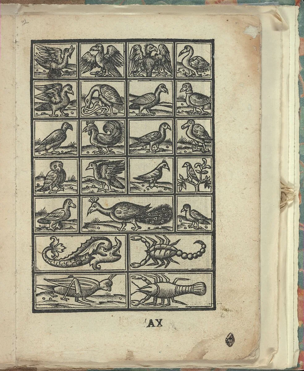 Opera Nova Universali intitulata Corona di racammi, page 21 (recto) — Giovanni Andrea Vavassore