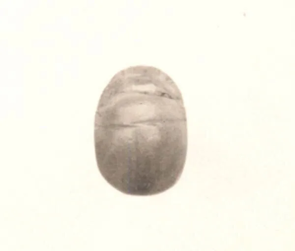 Scarab seal — Unknown