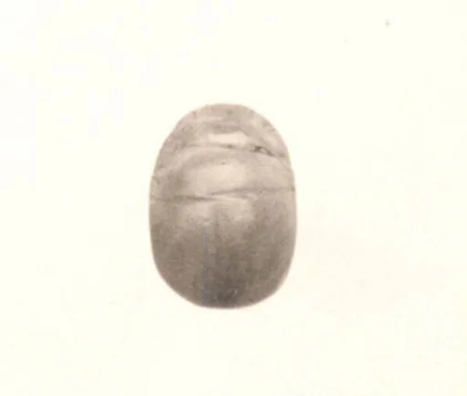 Scarab seal
