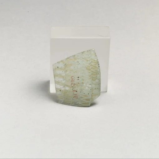 Glass network mosaic fragment