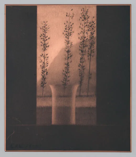 Window & four trees — Robert Kipniss
