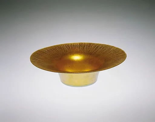 Dish