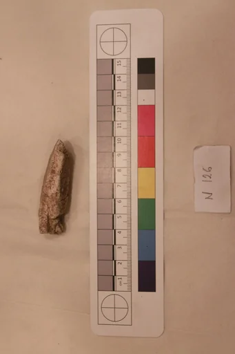 Stucco Fragment