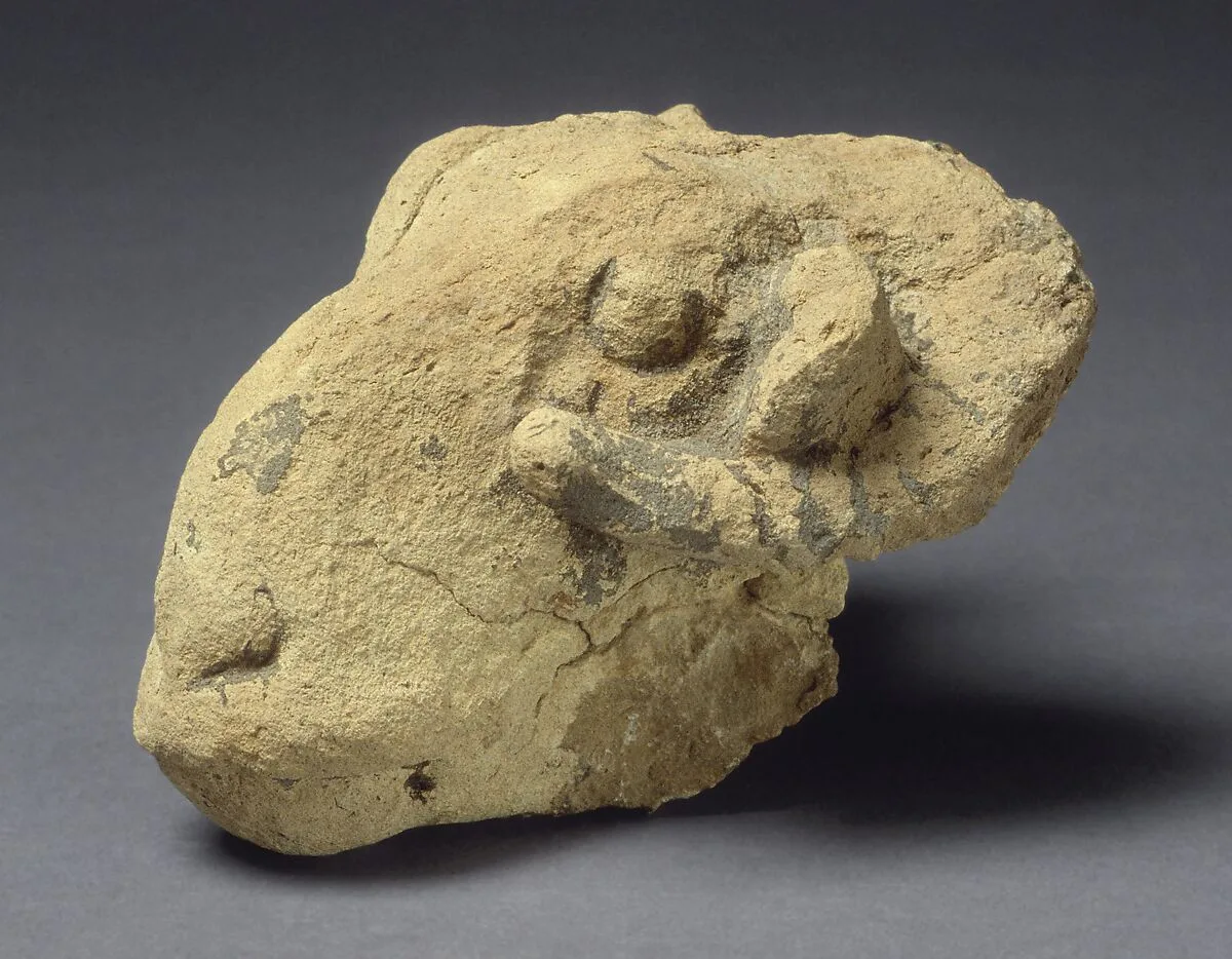 Head of a ram — Unknown