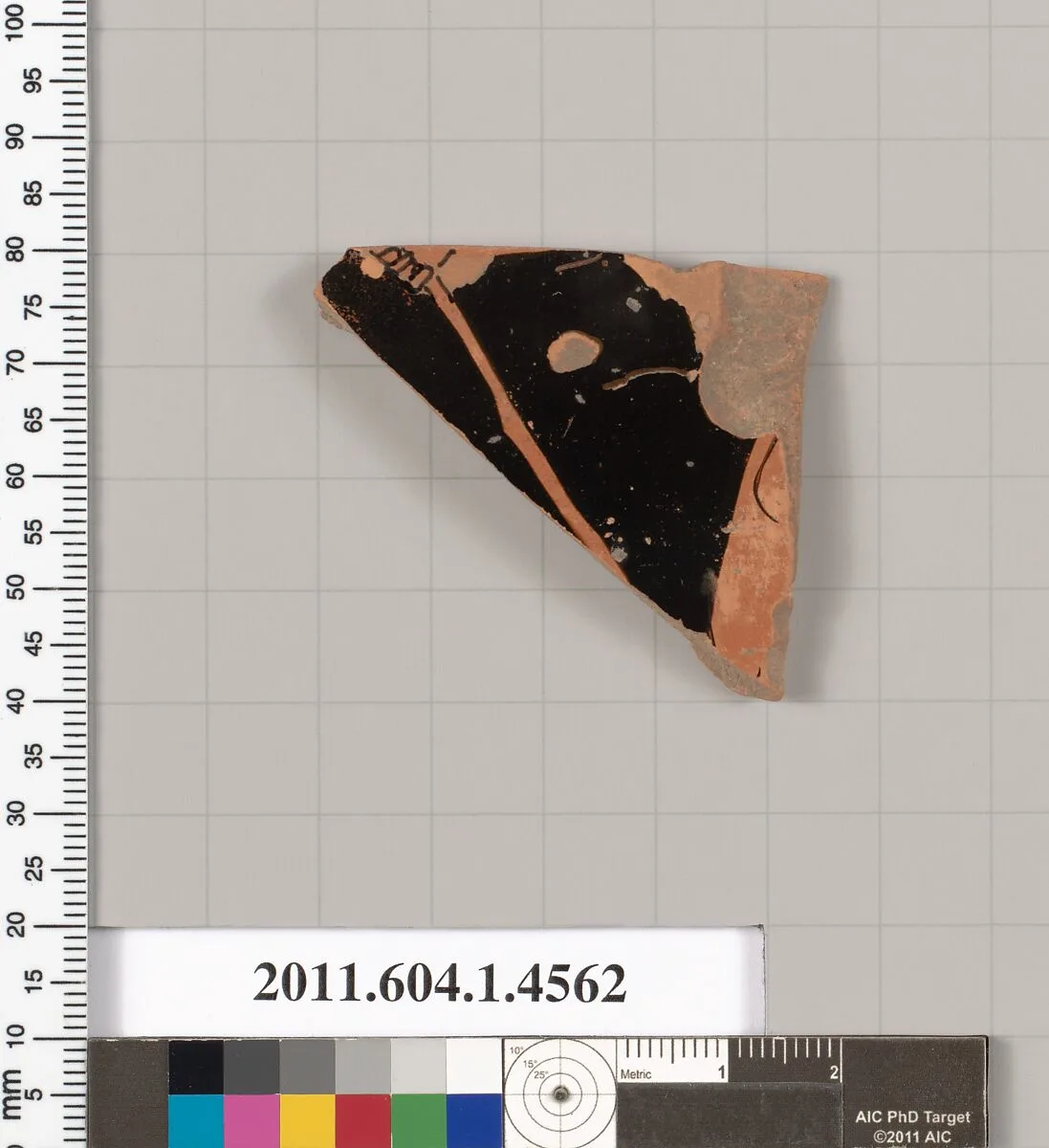 Terracotta fragment of a kylix (drinking cup) — Unknown