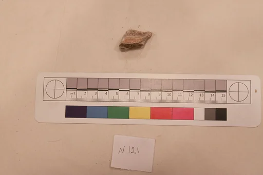 Stucco Fragment
