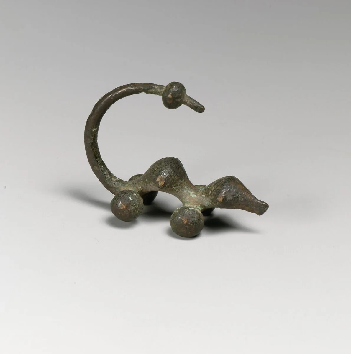 Fibula, serpentine type — Unknown